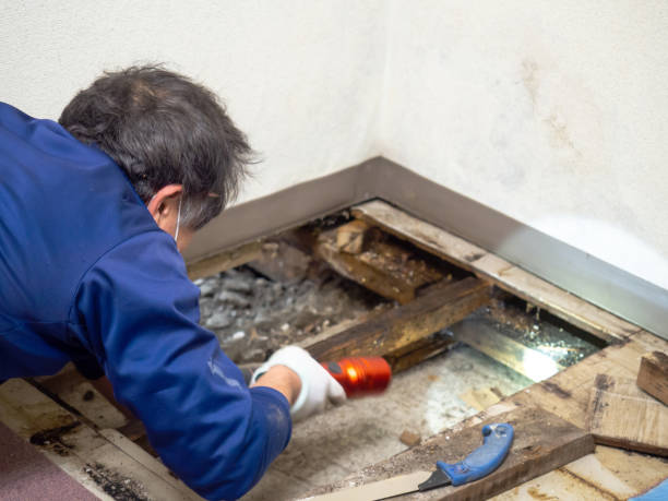 Best Water Damage Restoration  in Casper, WY
