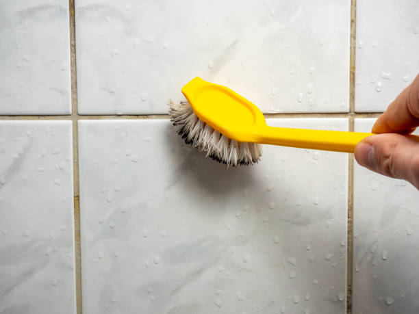 Trusted Casper, WY Mold Removal Experts