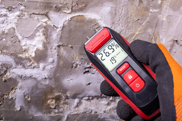 Best Attic Mold Removal  in Casper, WY