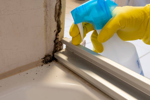 Best Mold Testing  in Casper, WY