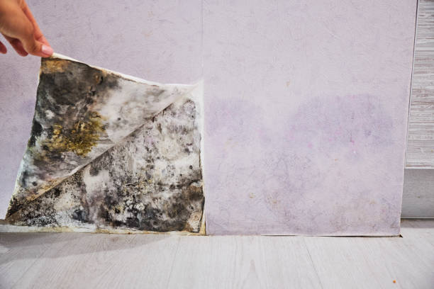 Water Damage Restoration in Casper, WY